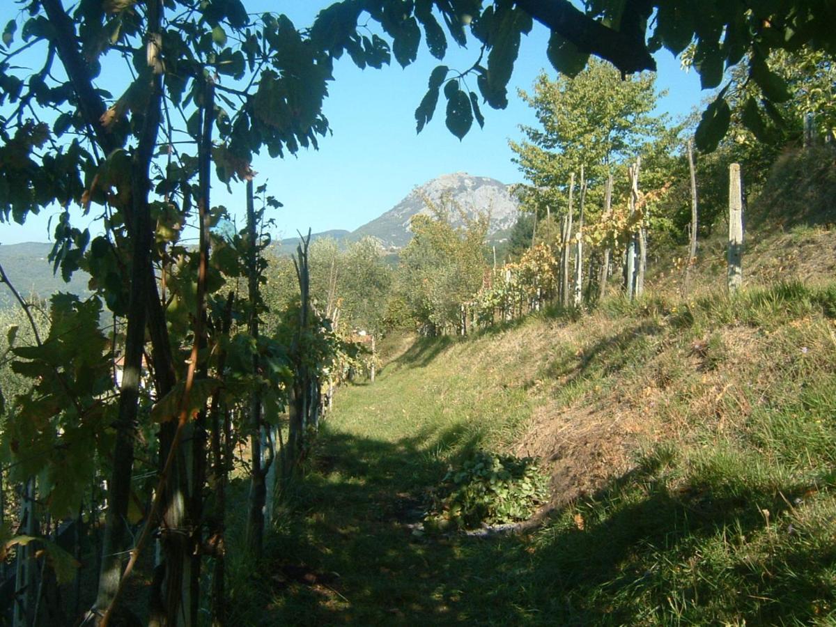 Il Casale Di Rolando Lägenhet Castiglione di Garfagnana Exteriör bild