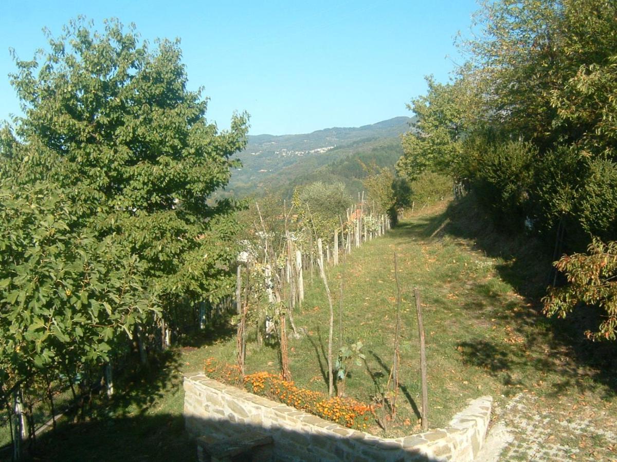 Il Casale Di Rolando Lägenhet Castiglione di Garfagnana Exteriör bild