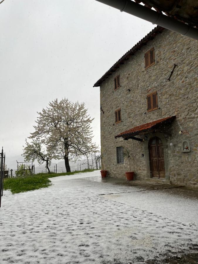 Il Casale Di Rolando Lägenhet Castiglione di Garfagnana Exteriör bild