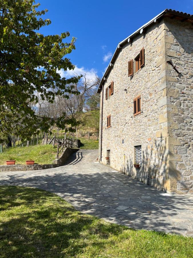 Il Casale Di Rolando Lägenhet Castiglione di Garfagnana Exteriör bild