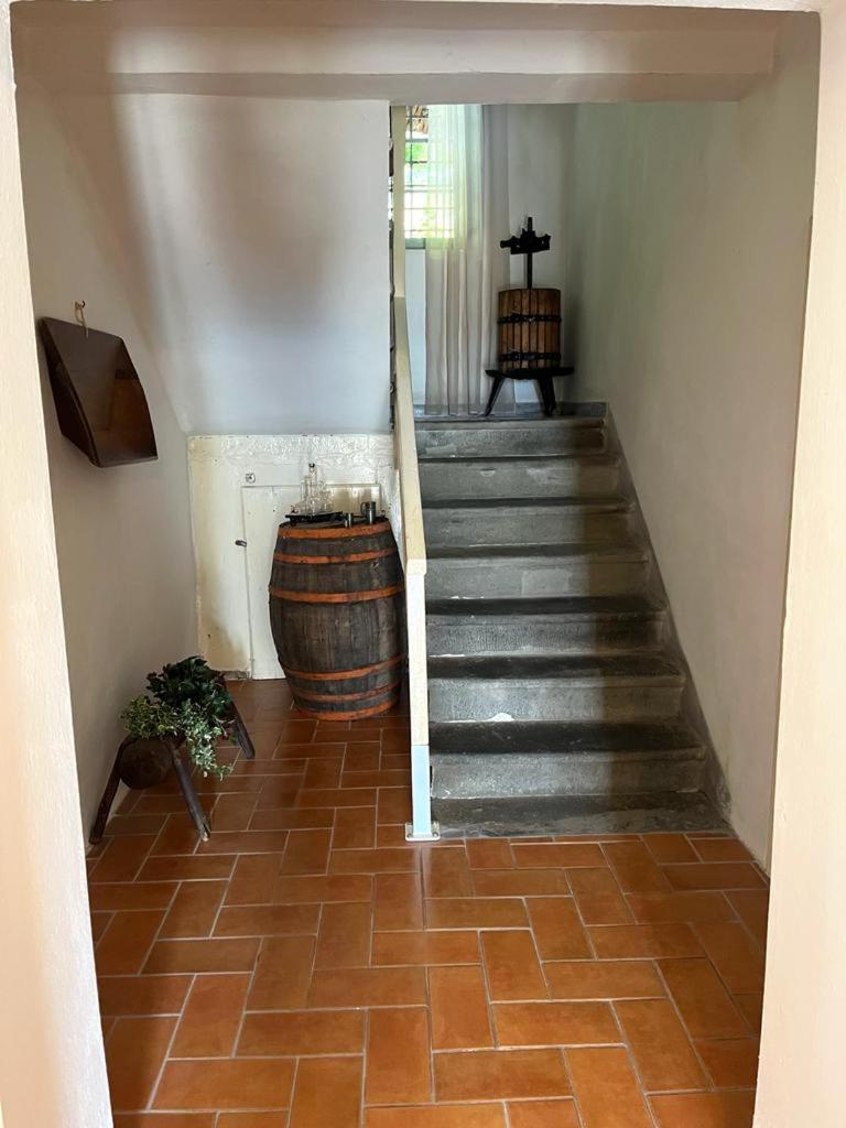 Il Casale Di Rolando Lägenhet Castiglione di Garfagnana Exteriör bild